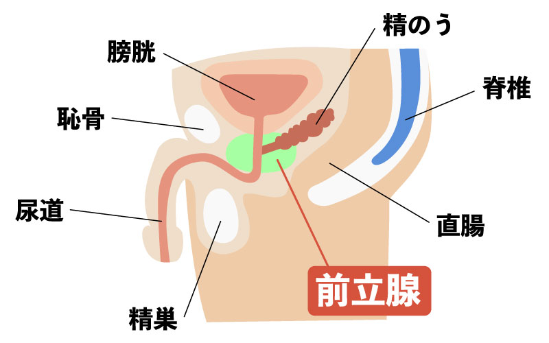 健康診断前日の7つのNG行動。食事は何時まで？お酒や運動は？ - マネコミ！〜お金のギモンを解決する情報コミュニティ〜