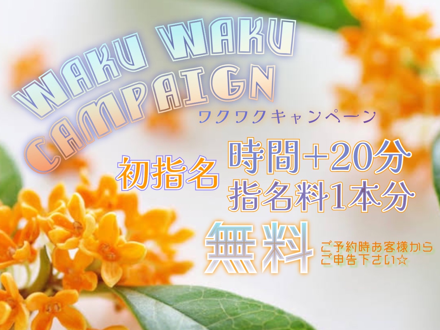 クリエイターの遊び心が楽しい焼き鳥バル！ 船橋の秘密基地『YAKITORIバル OTTO』｜さんたつ by 散歩の達人