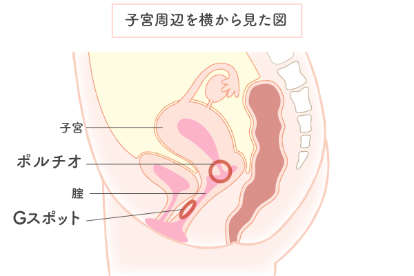 女性がイキまくる四つん這いクンニのやり方｜コツや注意点をわかりやすく解説！｜駅ちか！風俗雑記帳