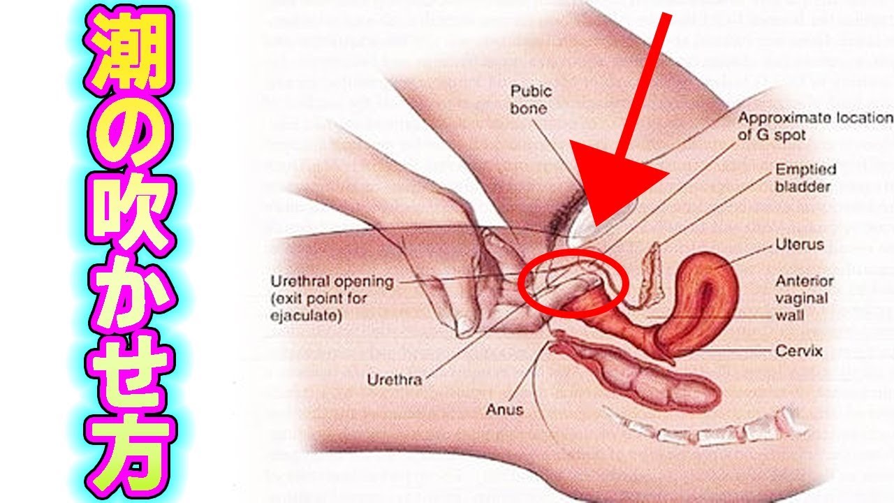 潮吹きのやり方を漫画で解説！気持ちいいセックスのコツ