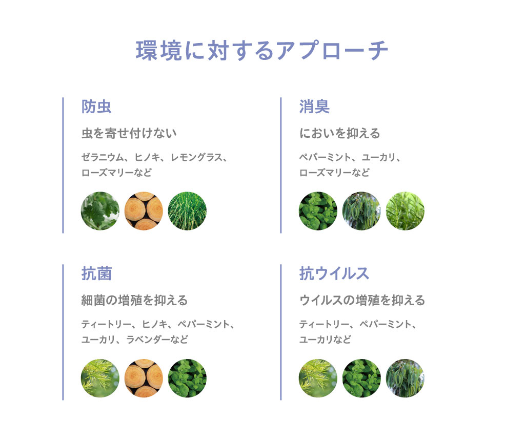 代表的なアロマオイル28種類の効果と効能を紹介。香りの世界を深掘りしてみよう！ - カラリアマガジン - 香り専門メディア