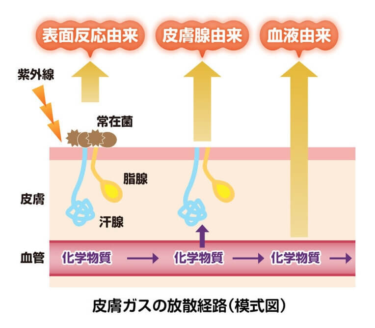 更年期に入ったら、なぜか急にデリケートゾーン（フェムゾーン、女性器）がにおうように。原因・対策は？（51歳）【更年期のフェムゾーンの悩み】