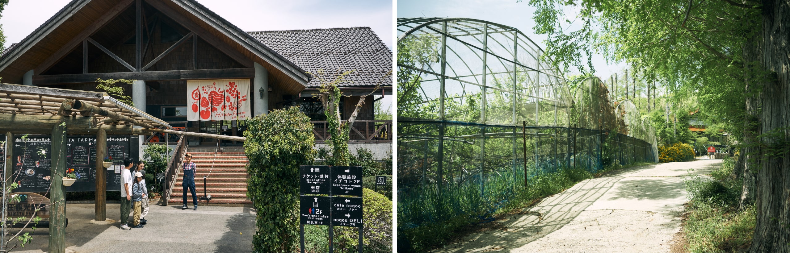 台湾料理・福来順（ふきじゅん）ガツ盛りな安旨中華！（安佐北区深川高陽店、廿日市宮内店、三次店、千代田北広島店） | 広島情報局