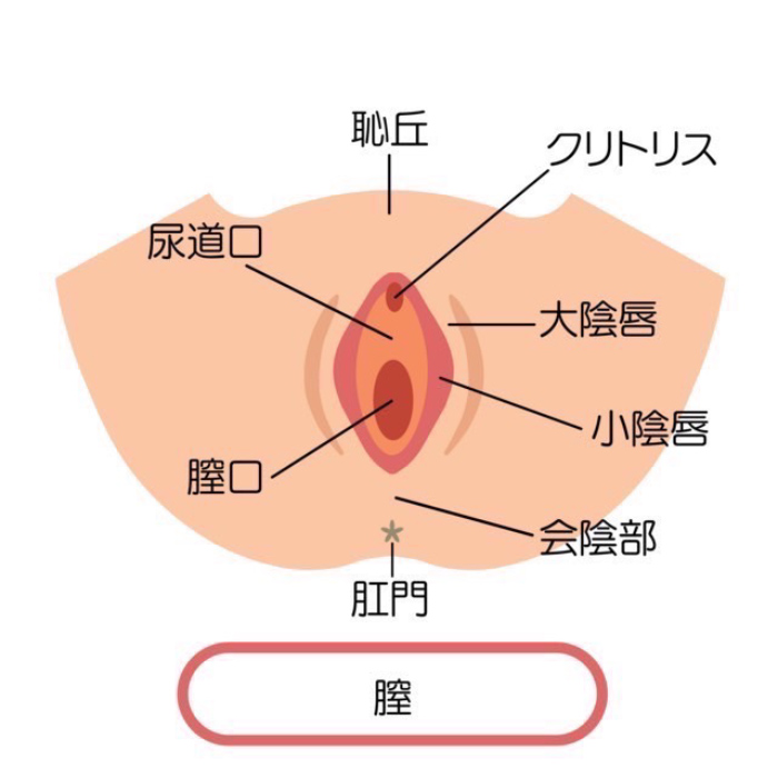 クリトリス包茎 | セレクトクリニック