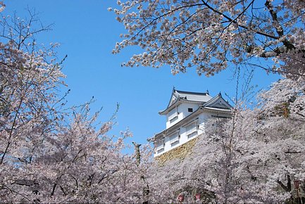 特別養護老人ホーム のどか【津山市】の料金と空き状況-特別養護老人ホーム｜安心介護紹介センター(旧かいごDB)