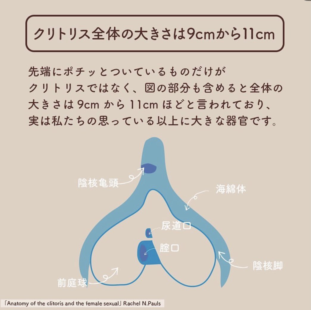 クリトリスの場所はどこ？構造・役割と快感を感じるためのいじり方 | Ray(レイ)