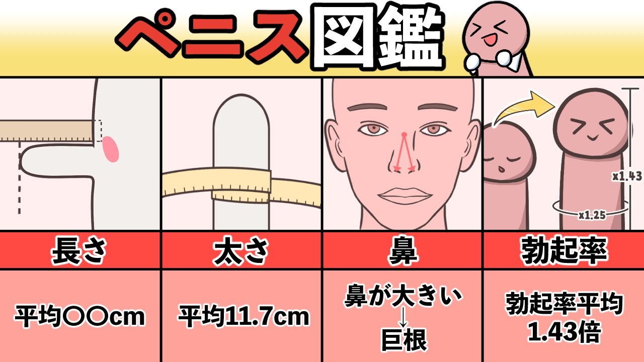 ペニスサイズを一発測定！トイレットペーパーチャレンジ！