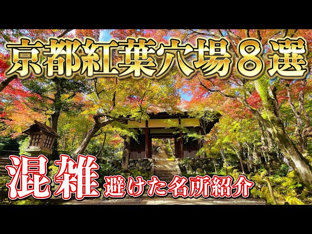 2024年 京都の紅葉】ライトアップ情報から名所・穴場・見頃情報【楽天トラベル】