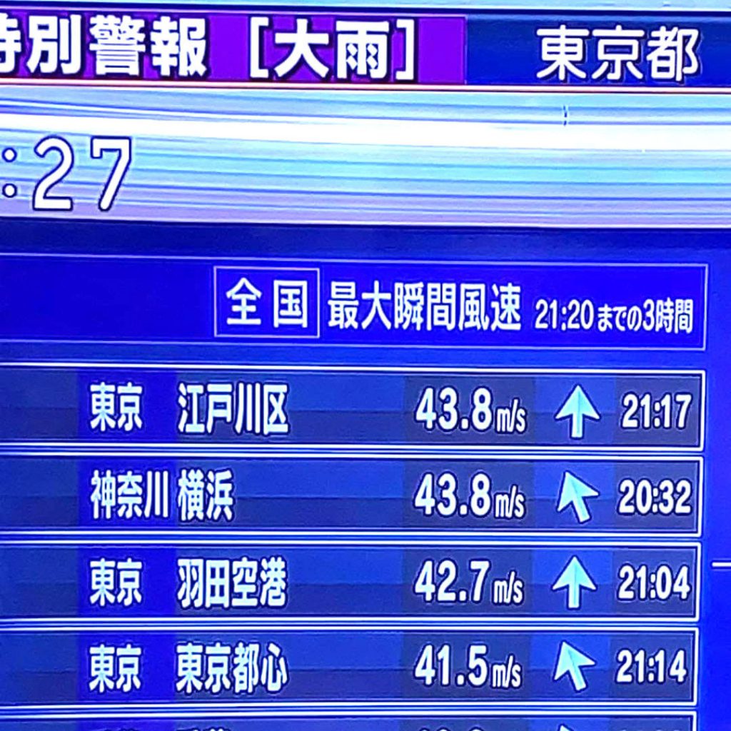 総務省｜一般戦災死没者の追悼｜江戸川区における戦災の状況（東京都）