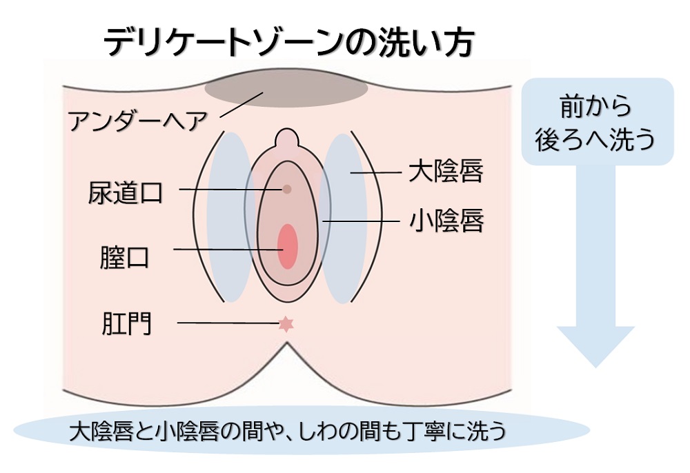 世界のウケ事情】みんなどうやってお尻をキレイにしてるの？