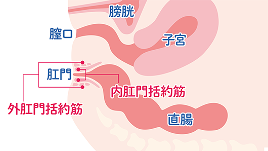 ナイショだよ】女の子のオナニーの実態。女性がオナニーする理由とやり方&オナニー頻度！ | 日刊SODオンライン