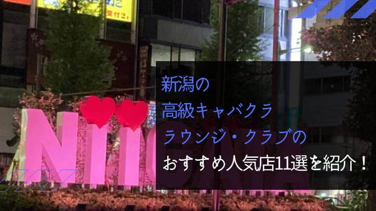 クリーンアクションvol.7@新潟駅前 – 国際安心安全協会 新潟支部