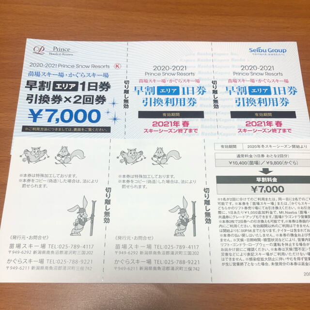 2023-2024 苗場スキー場・かぐらスキー場共通 早割リフト1日券引換利用券A・Bセット