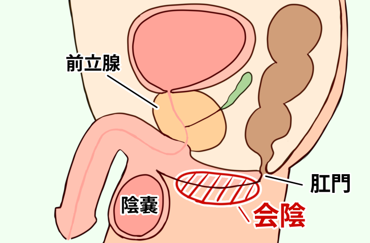 男性の“Gスポット”を探るための前立腺マッサージ4ステップ｜メンズヘルス公式