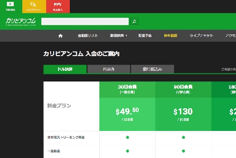 海外の有料ポルノサイトおすすめ人気ランキングトップ８ - ビックニュースのハウス