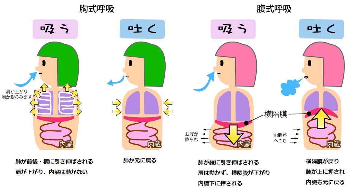 Tiara・福岡県柳川市大和町徳益・徳益徒歩8分