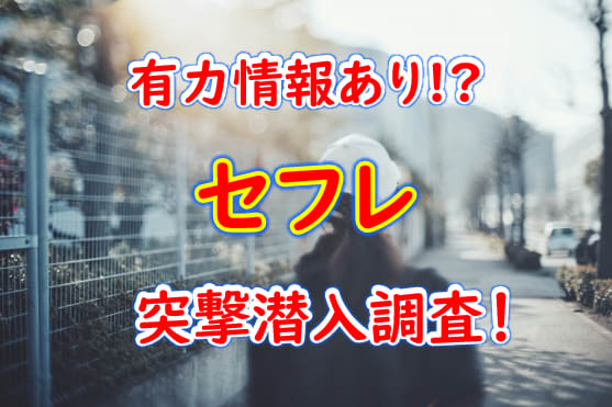 京都デリヘルおすすめ人気ランキング3選【本番・基盤情報も解説】