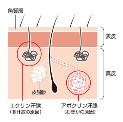 ワタセラ～私がセラピストさんになっても～』体験談。愛知今池のコスパNo.1かも | 男のお得情報局-全国のメンズエステ体験談投稿サイト-