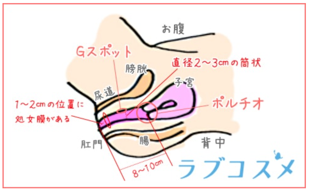 日本人の平均ペニスサイズが明らかに！ | TENGA FITTING（テンガフィッティング）