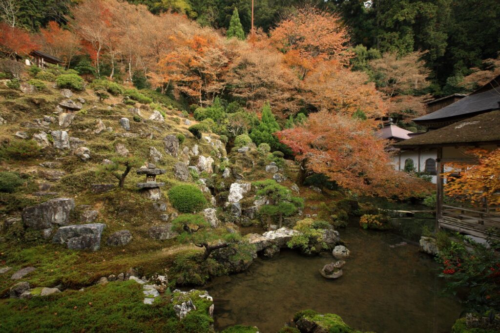 本当は教えたくない！秋の京都｢穴場紅葉スポット｣4つ | つやプラ - つやっときらめく美をプラス｜40代からのエイジングを前向きに