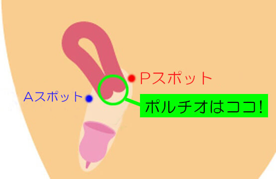 真・性感開発 未知の性感'ポルチオ'に挑む密着ドキュメント 東京に潜む変態オヤジたちとのスローセックスで意識が飛ぶ程絶頂させられた1日