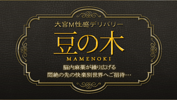 さいたま市大宮区のM性感の風俗｜シティヘブンネット