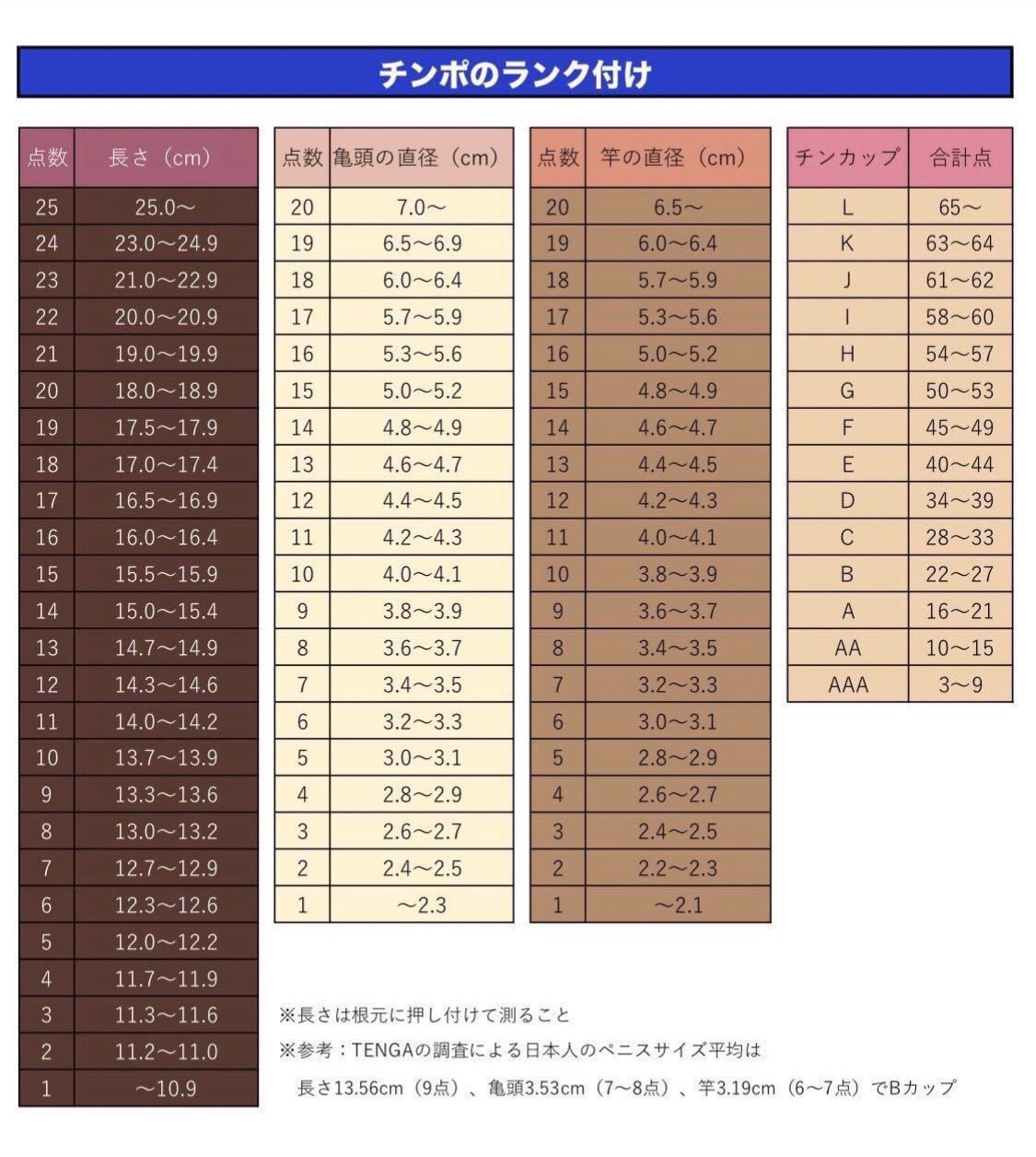 ペニスの長さ・太さサイズを一発診断！【トイレットペーパーの芯】 | セクテクサイト