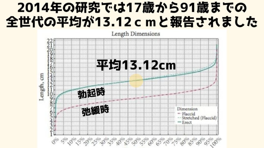 平均的なペニスの大きさを身近なものと比較しまくってみるとこうなる - GIGAZINE