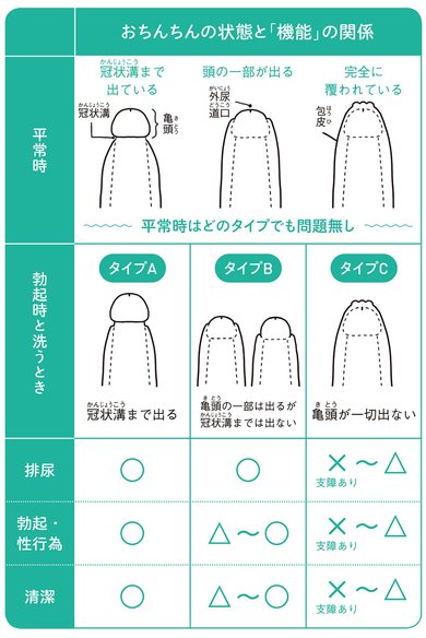 むけない包茎を自分で改善できる方法「むきトレ」とは？ | ネオ形成外科