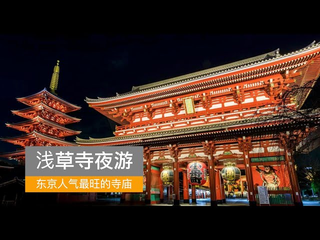 东京独木舟夜游体验：探索东京夜晚的神秘魅力| funBooky