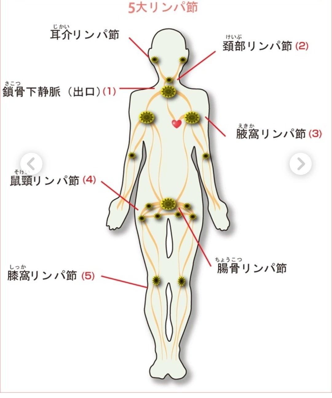 リンパマッサージが男の体にもいい3つの理由 - 銀座ルーチェ治療室