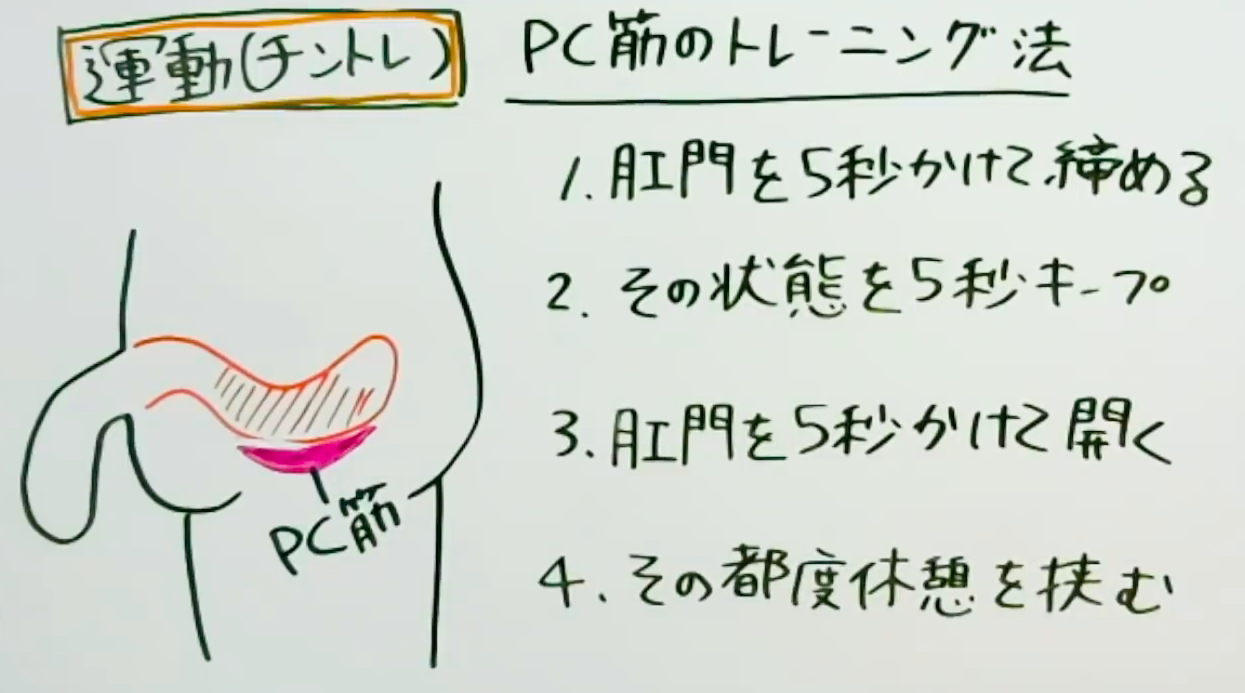 チントレはやっても意味がない⁉ペニスを効果的に強化する方法とは？ –メンズクリニック研究会-包茎