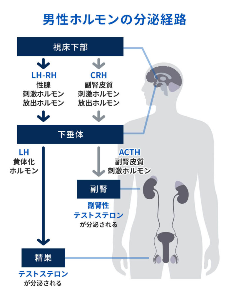 性欲を抑えるにはどうすればいい？具体的な方法とデメリットについても