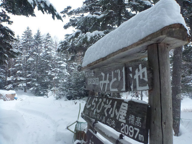 北八ヶ岳 ニュウ・しらびそ小屋