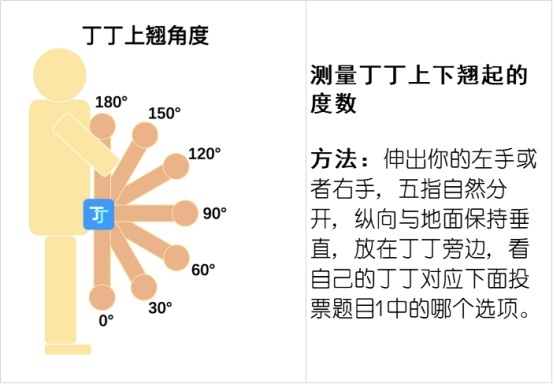 ペ○スの長さ・角度・硬さの正確な身体測定法【ペ○ス世界ランキング】