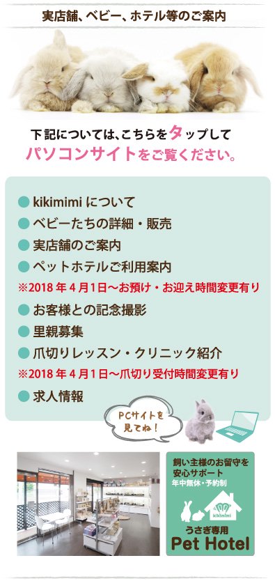 うさぎ専門店 うさぎのミルキー 民宿・民泊・ゲストハウス・バケーション・ペンションを宿泊予約 |