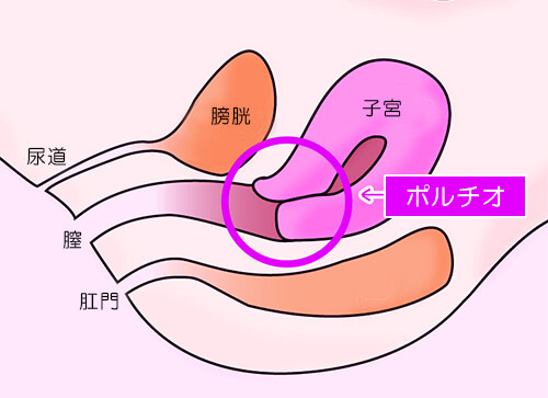 カーセックス経験者に聞いた車内プレイの体験談や注意点・準備したい物とオススメの場所(海・山)