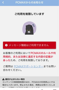 PCMaxなんですが、これ全部業者でしょうか。チップ100で - Yahoo!知恵袋