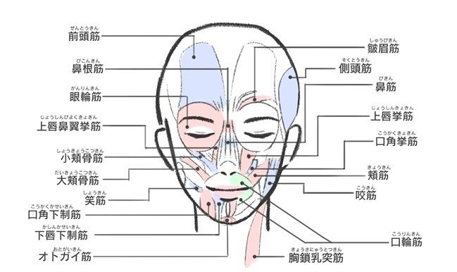 オナ禁のメリットは？ | セイシル