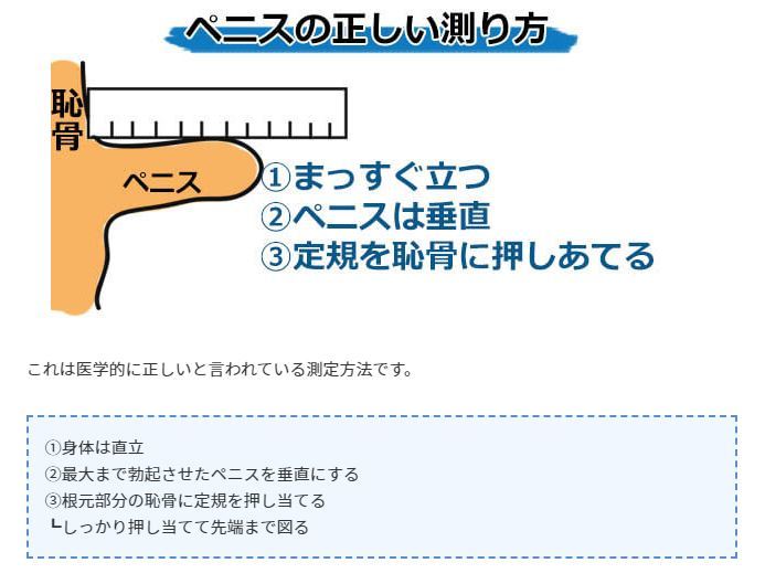 たぬかなが「ちんこの正しい測り方」を教える : くまニュース