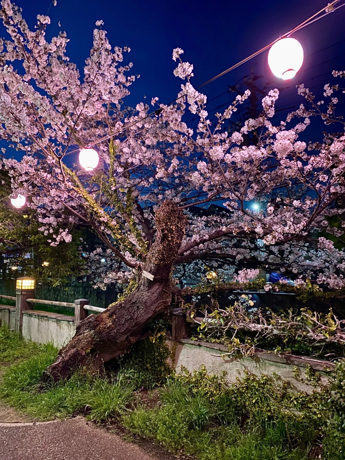 糸満市観光ならここ!糸満市でおすすめの人気観光・旅行スポット - 2024版