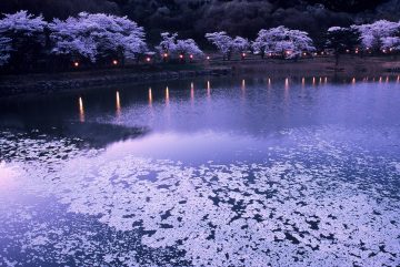 夜の大人編】大阪の遊ぶところ2024 おすすめ12選 おしゃれなバーや絶品居酒屋、観光船から絶景スポットまで - まっぷるウェブ