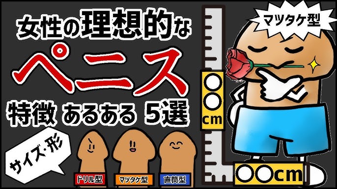 女性はペニスの長さが13.5で太さ3.3くらいが理想で1番気持ちいいんです- その他（性の悩み） |