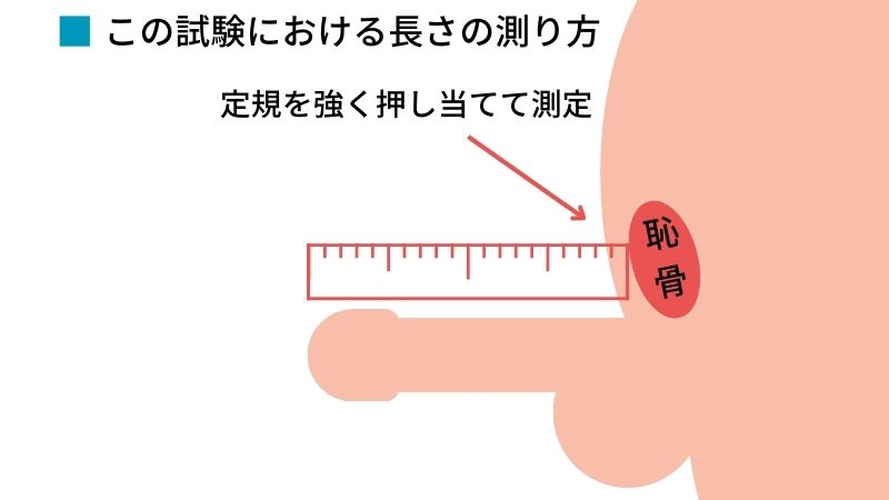 チンカップって一体なに？男性が気になるちんこのサイズについて徹底調査 | happy-travel[ハッピートラベル]