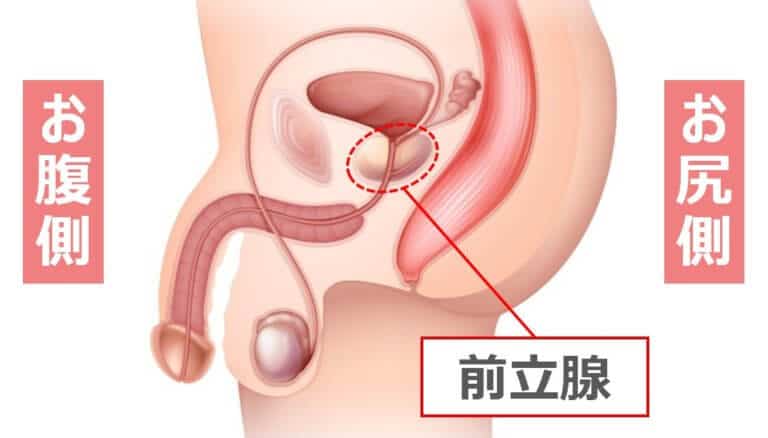 間違った自慰行為（オナニー）はEDや射精障害を招く！【医師監修】 | 新橋ファーストクリニック【公式】