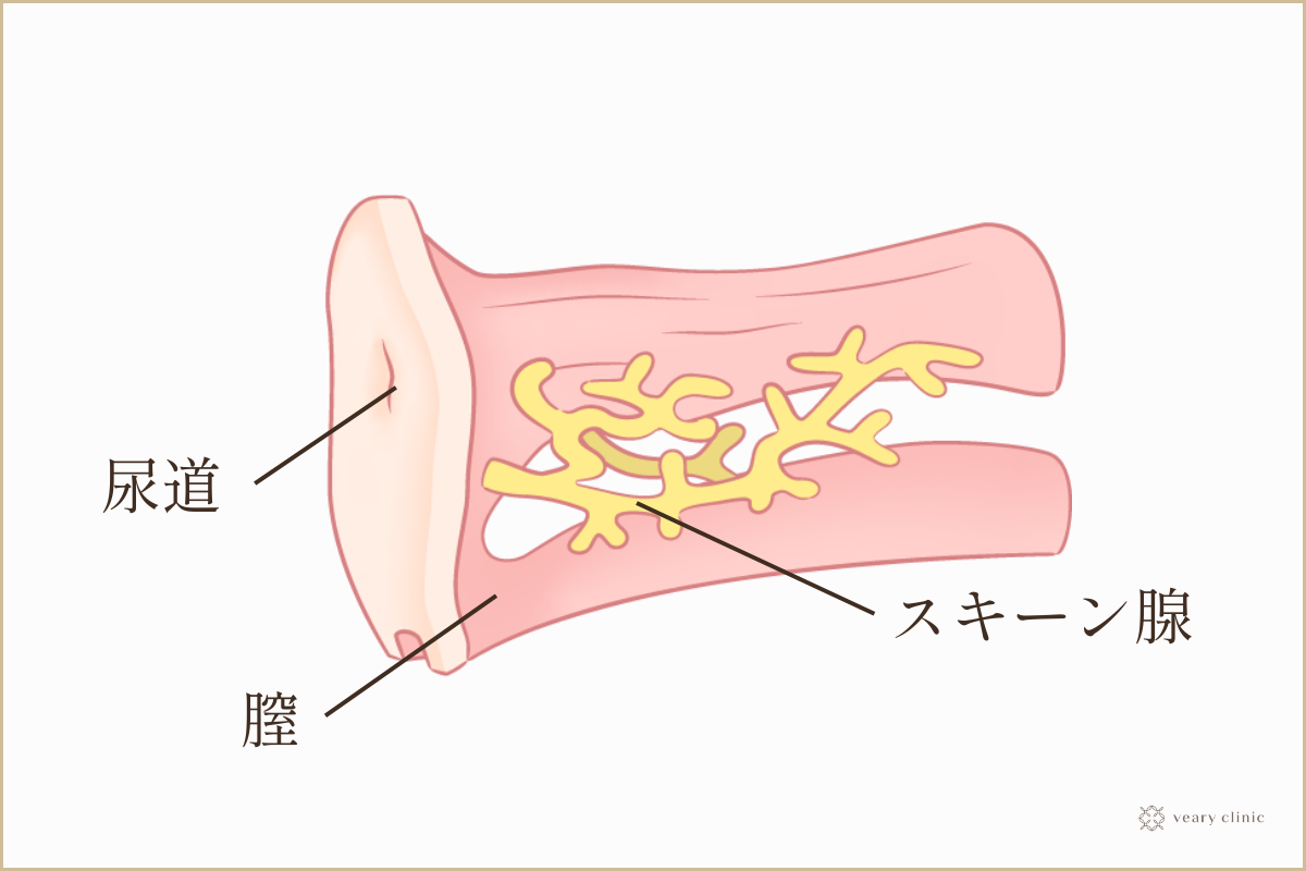 女性がセックスでイク方法やコツは？イケない人にこそ必要な考え方とは | Ray(レイ)