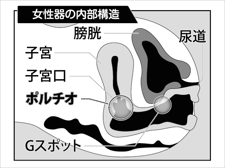 連続イキ】ポルチオ・体外式ポルチオ法５選～完全図解～ | セクテクサイト