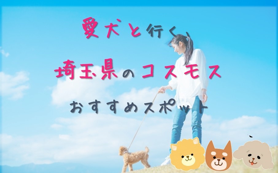 子犬を埼玉でお求めなら天使道場へお越しください