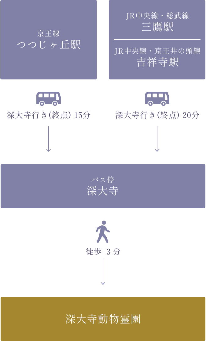 路線図｜京王バス