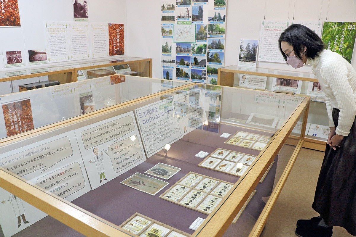 ほねつぎ高松接骨院/高松はりきゅう院（仙台市）｜ハニースタイル